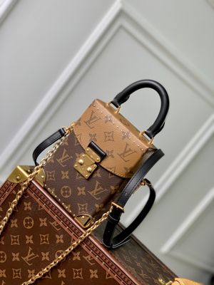 Louis Vuitton women bag LFA28