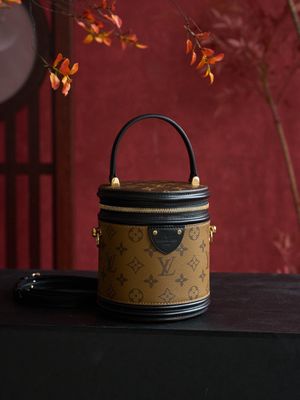 Louis Vuitton women bag LFA27