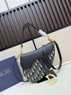 Dior women bag DQC10