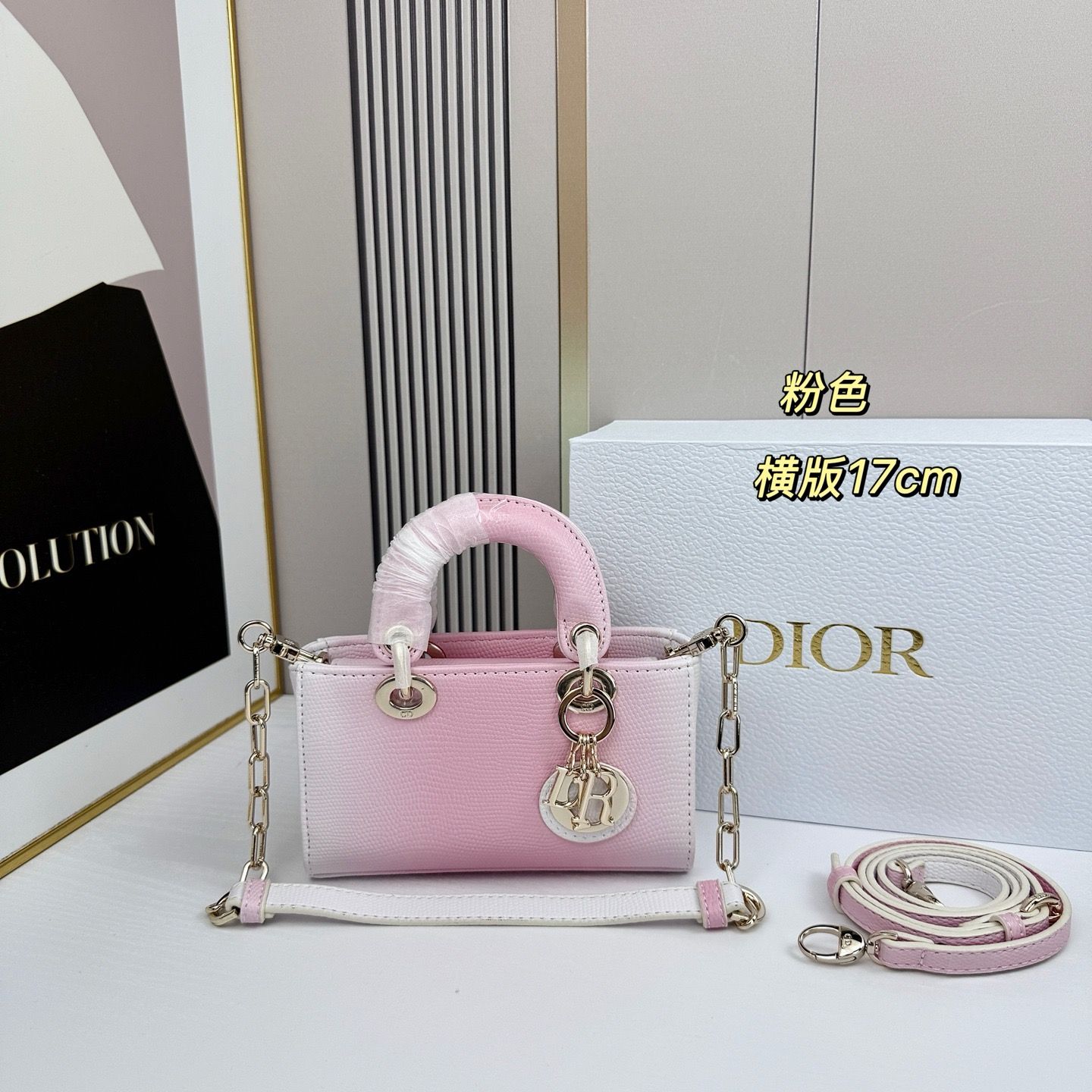 Dior women bag DQF06