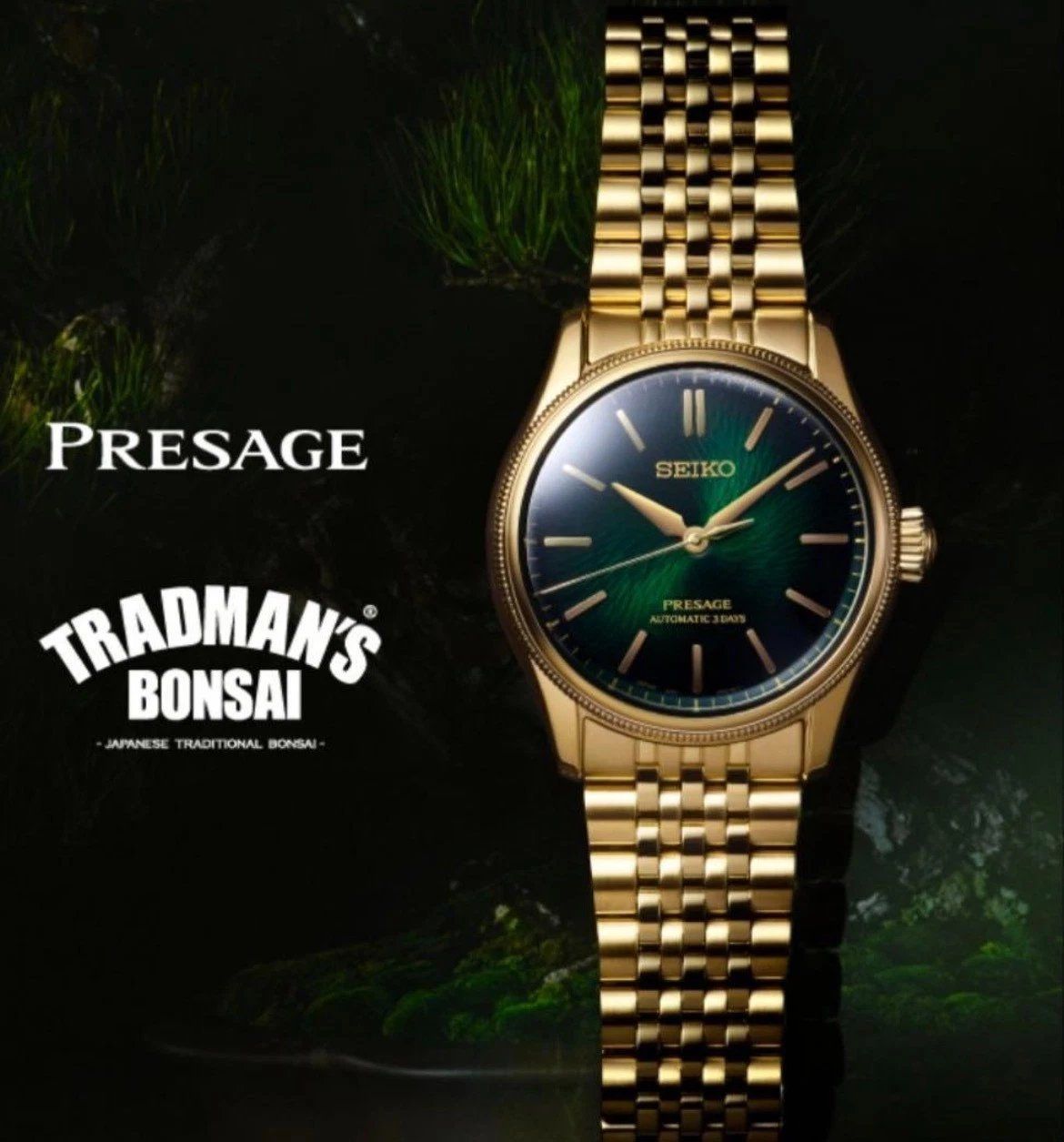 Seiko Presage Bonsai Tradman’s HCC011J Men’s Automatic Watch, 38mm, JDM Limited Edition (600 pieces), Made in Japan, 100m, Anti-Reflective Sapphire Crystal, JDM (Japanese Domestic Market)