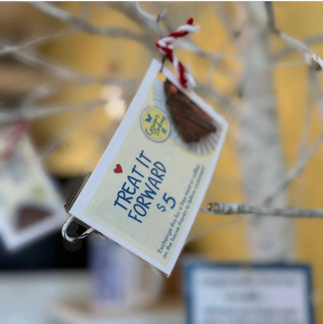 Gift it Forward