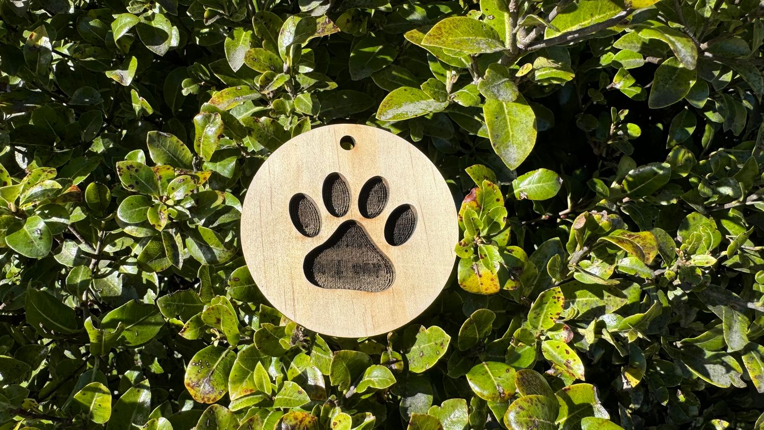 Paw Print Air Freshener