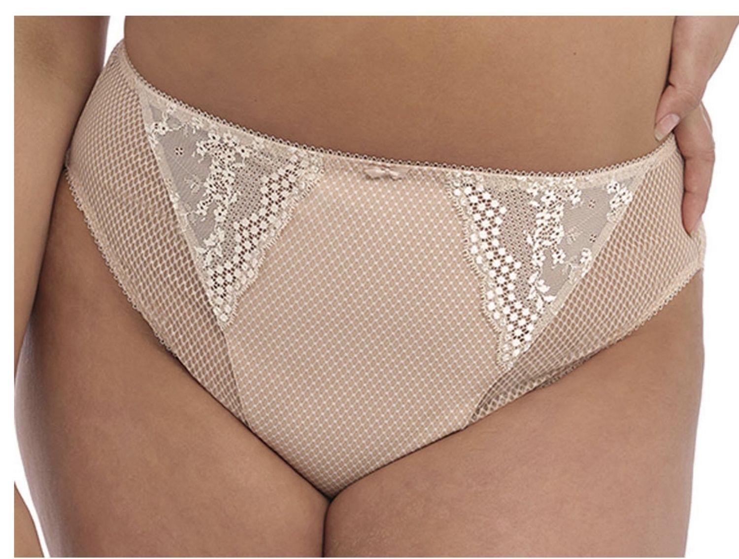 CHARLEY HIGH LEG BRIEF