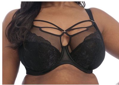 BRIANNA UW PLUNGE BRA