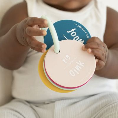 Bella Tunno Teething Flashcards