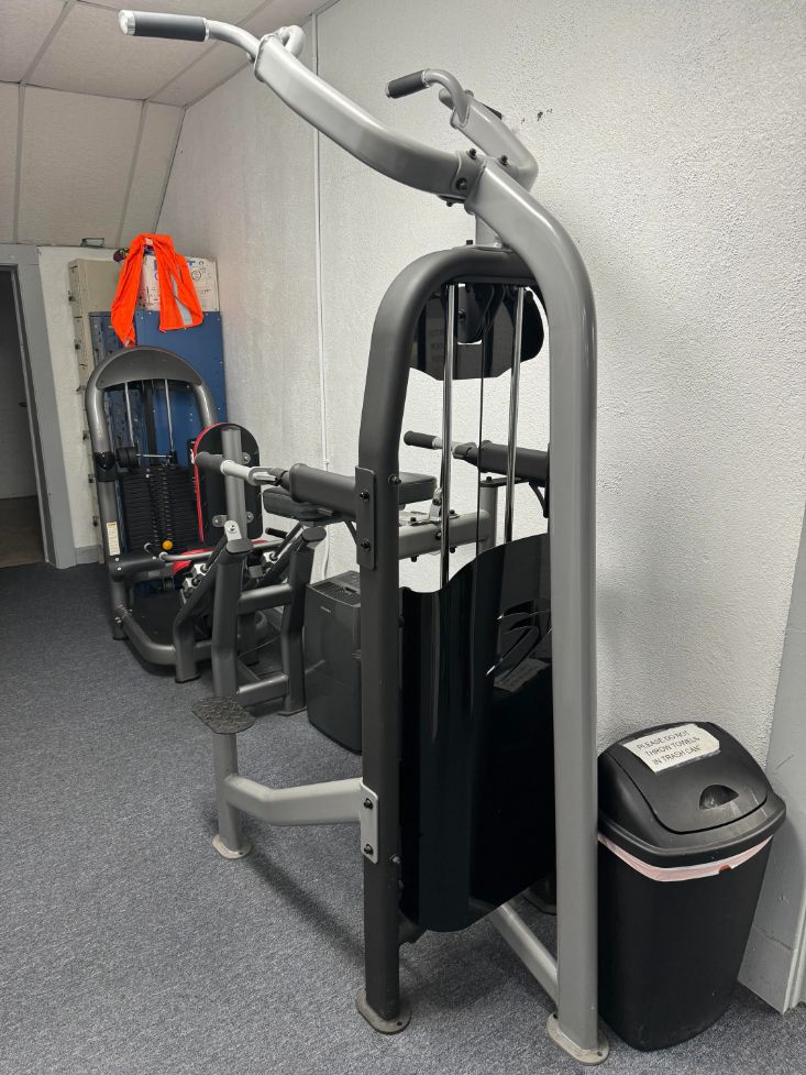 Batca Assisted Dip Chin Up