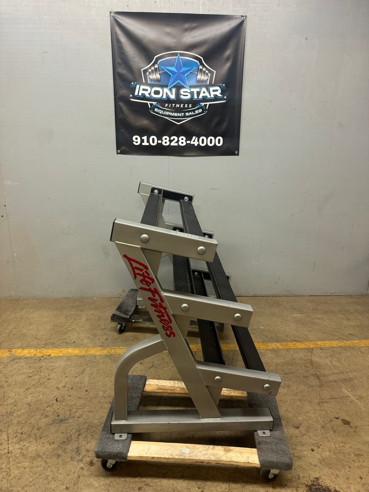 Life Fitness Dumbbell Rack