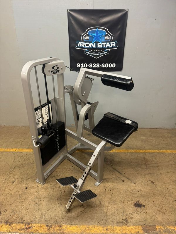 Cybex Back Extension