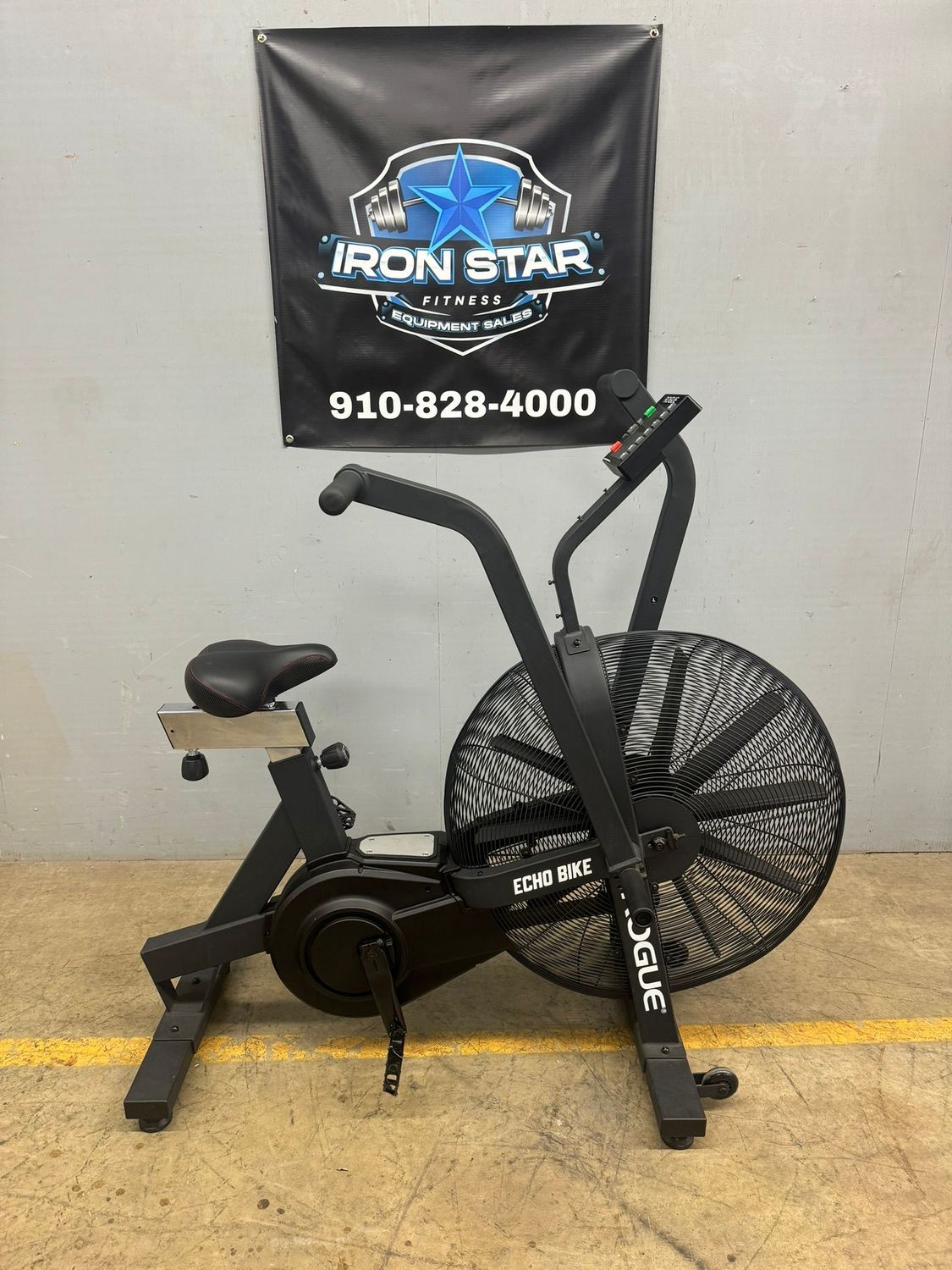 Rogue Echo Bike