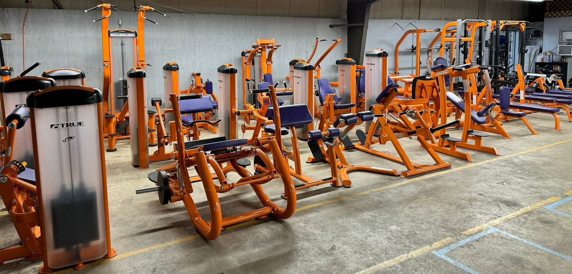Clemson State University 36 Piece Fitness Gym Circuit