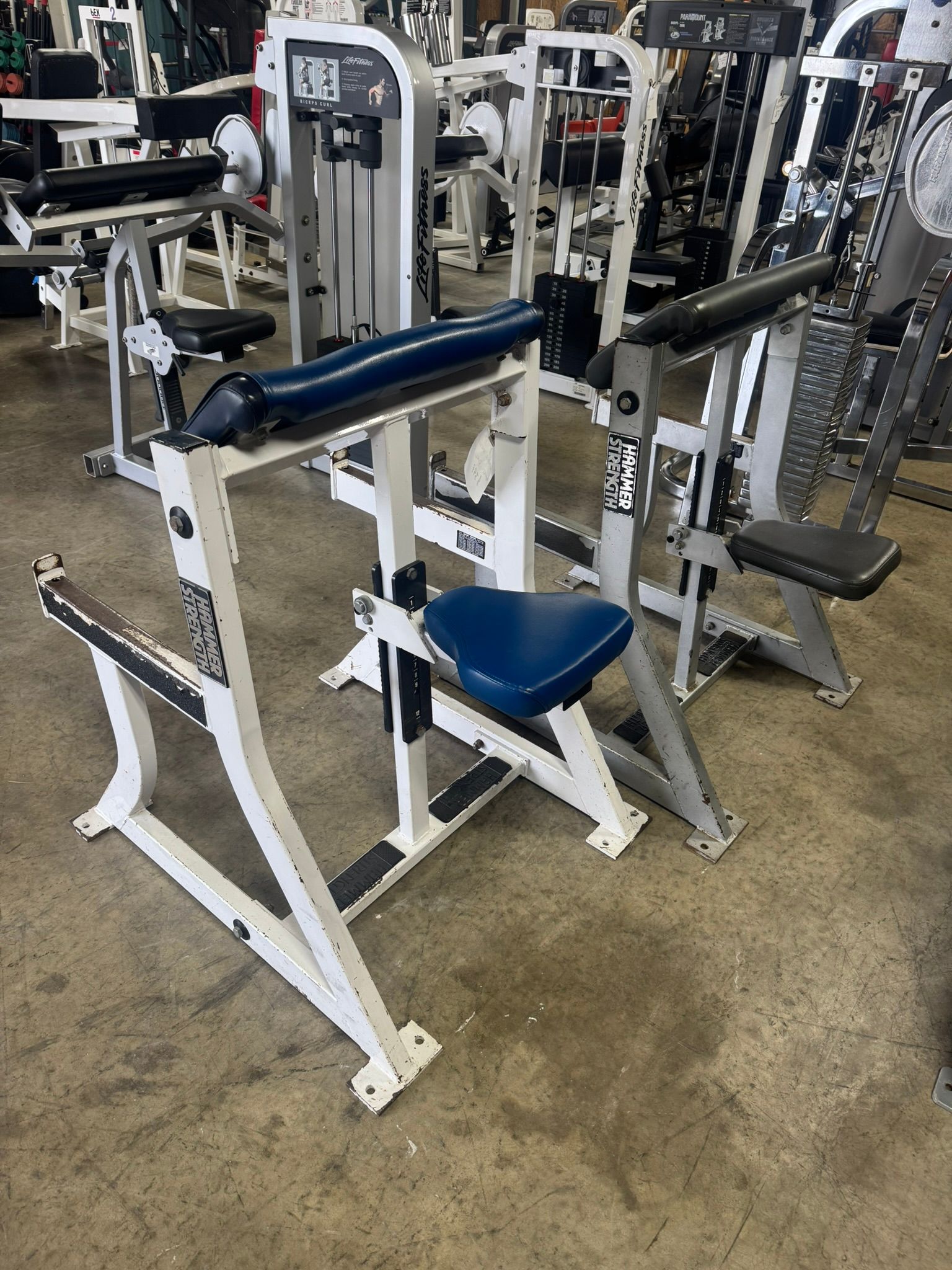 Hammer Strength Preacher Curl