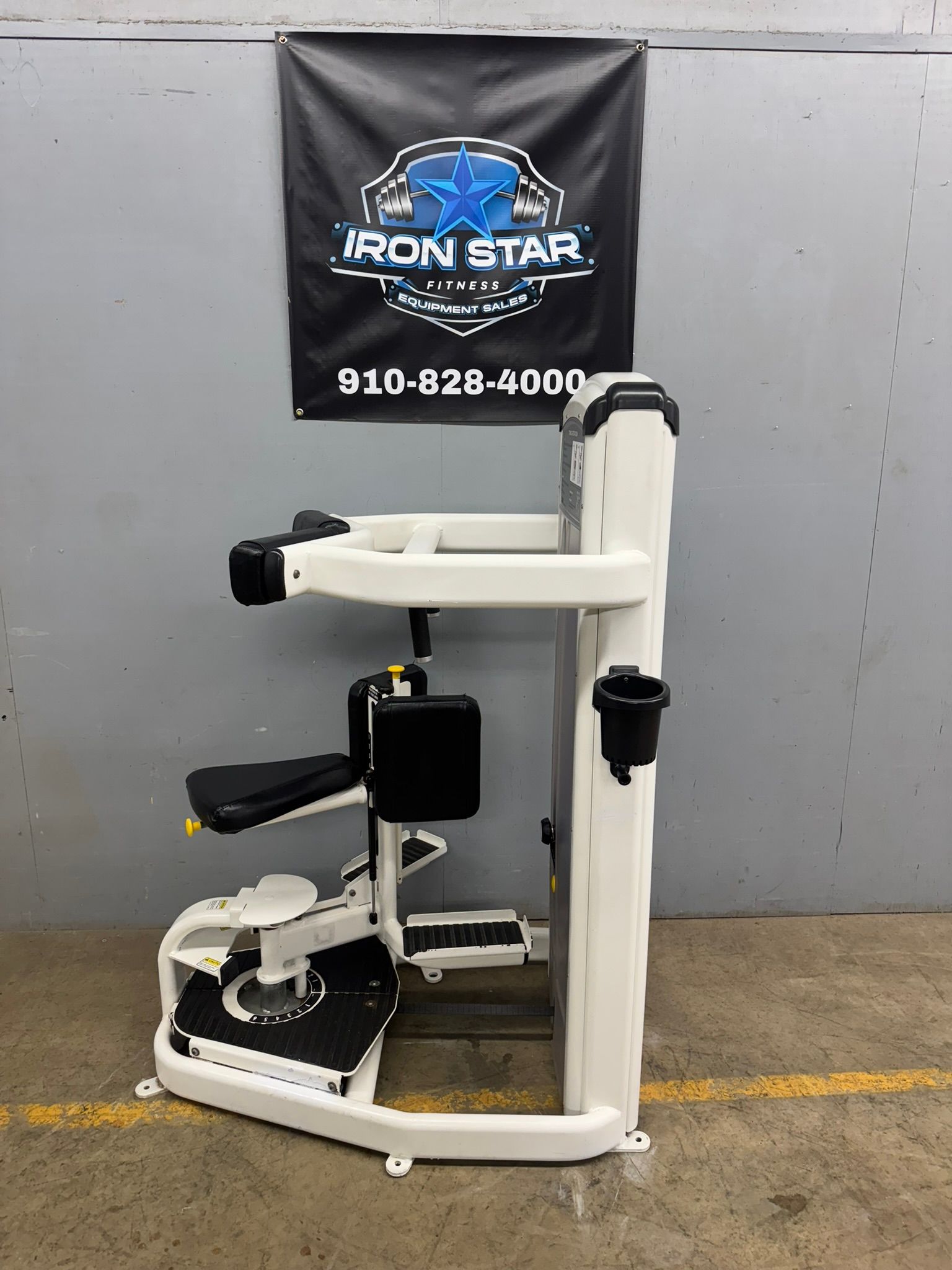 Cybex Rotary Torso