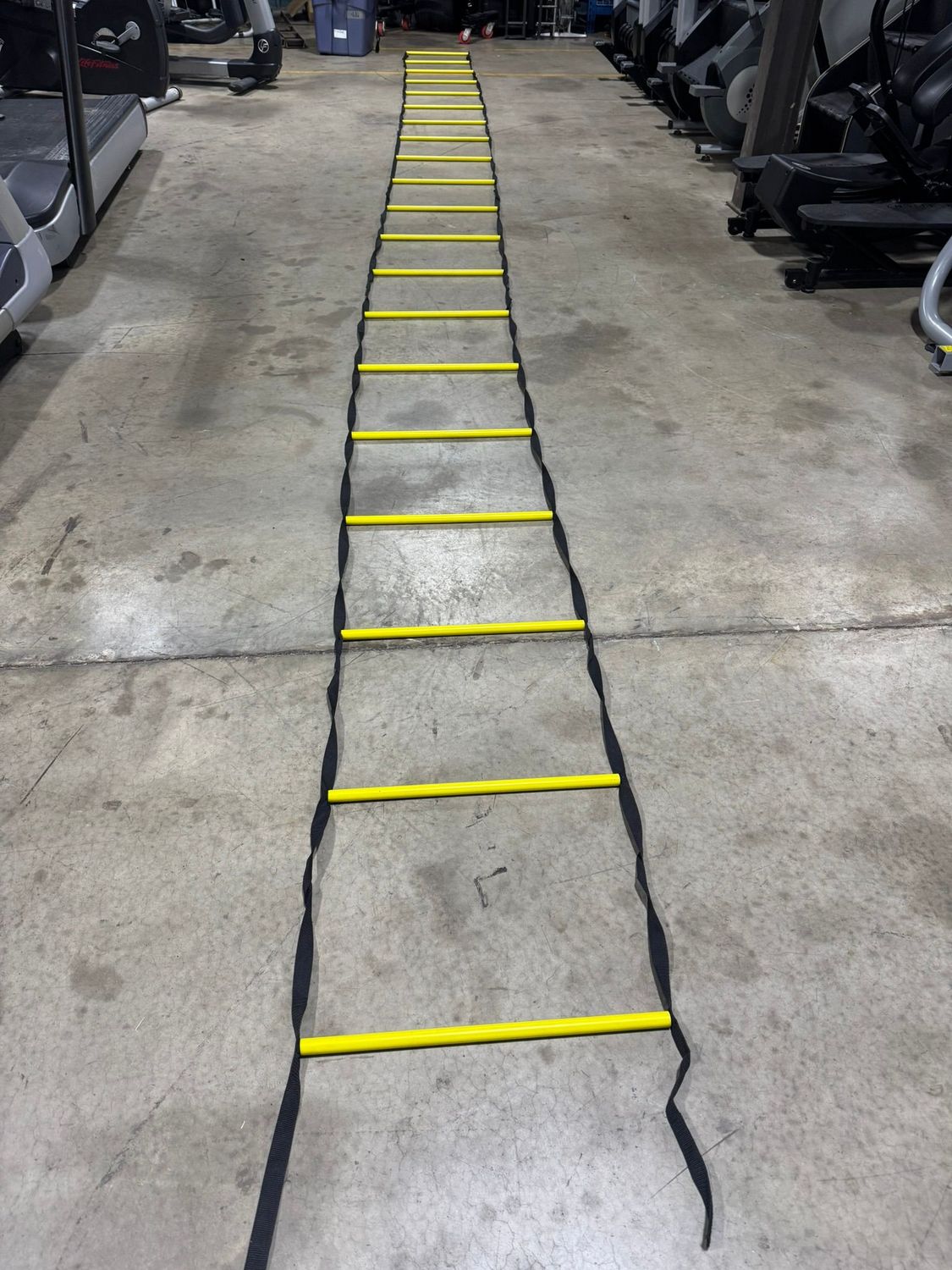Exercise Ladder