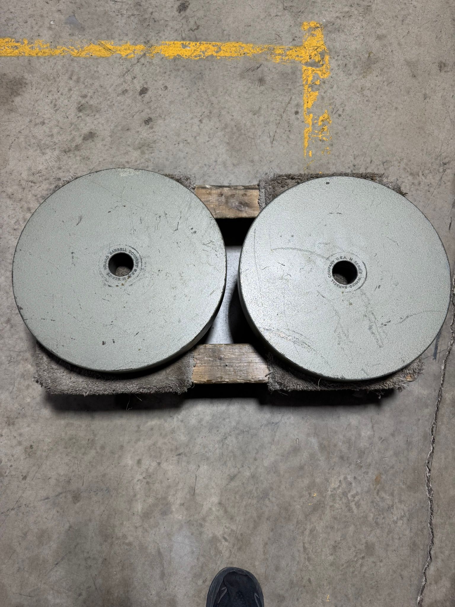 Ivanko M-Series 100lb Plates