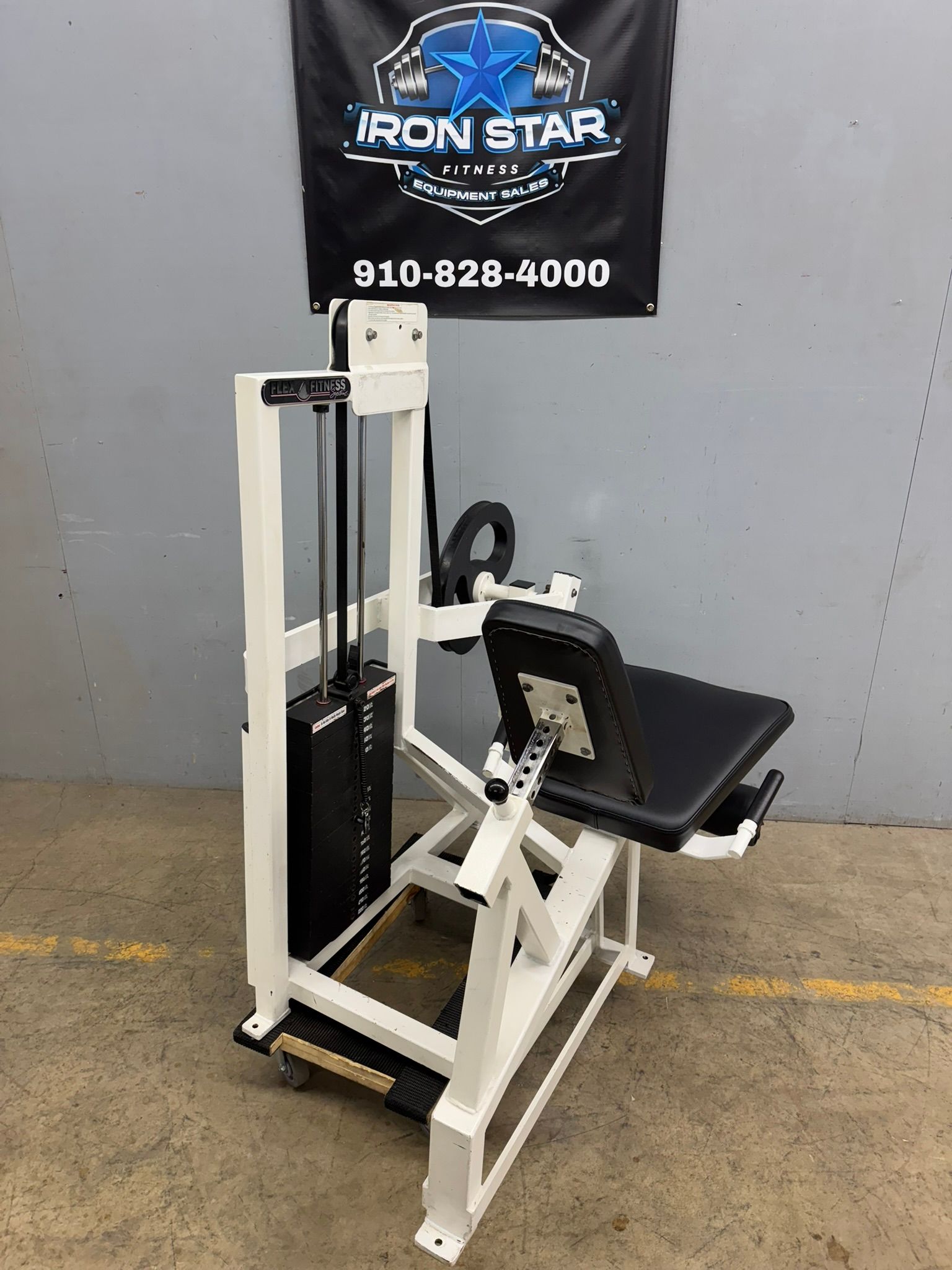 Flex Fitness Leg Extension