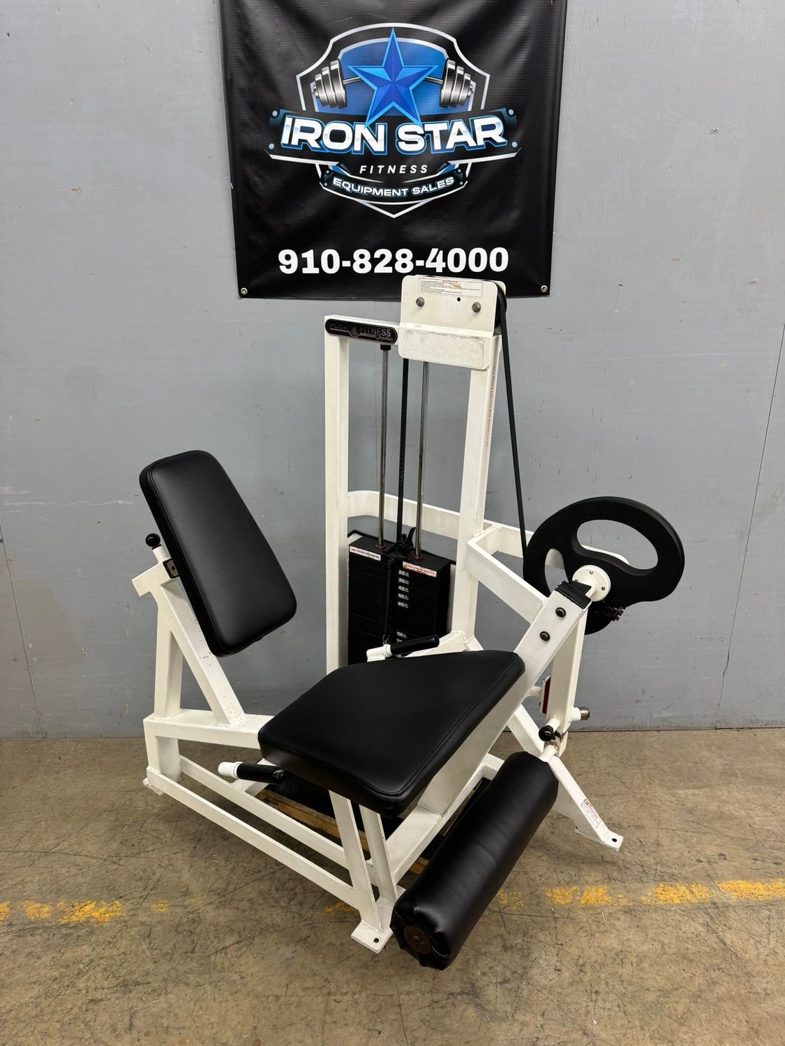 Flex Fitness Leg Extension