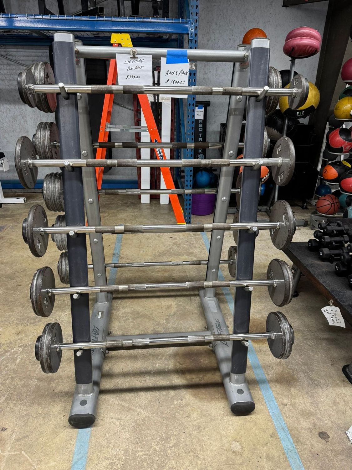 Fixed GP Weight Straight Bars With Life Fitness Rack
