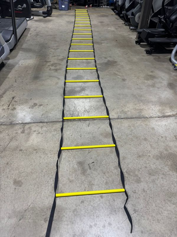 Exercise Ladder