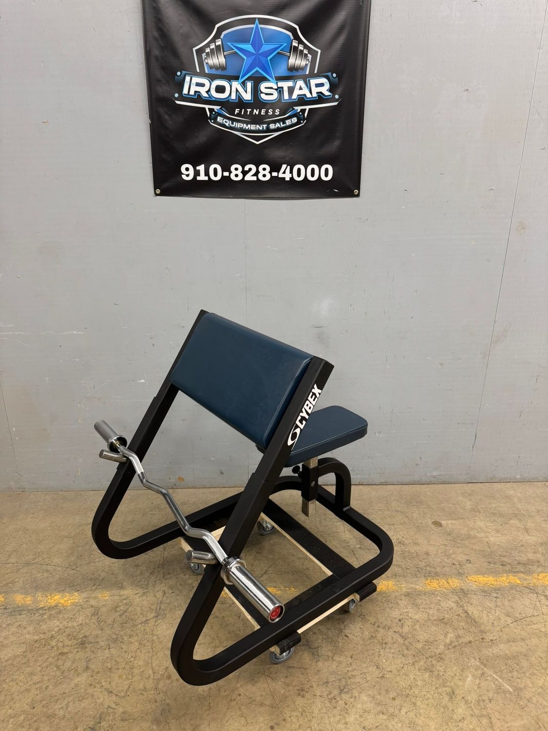 OG Cybex Preacher Curl