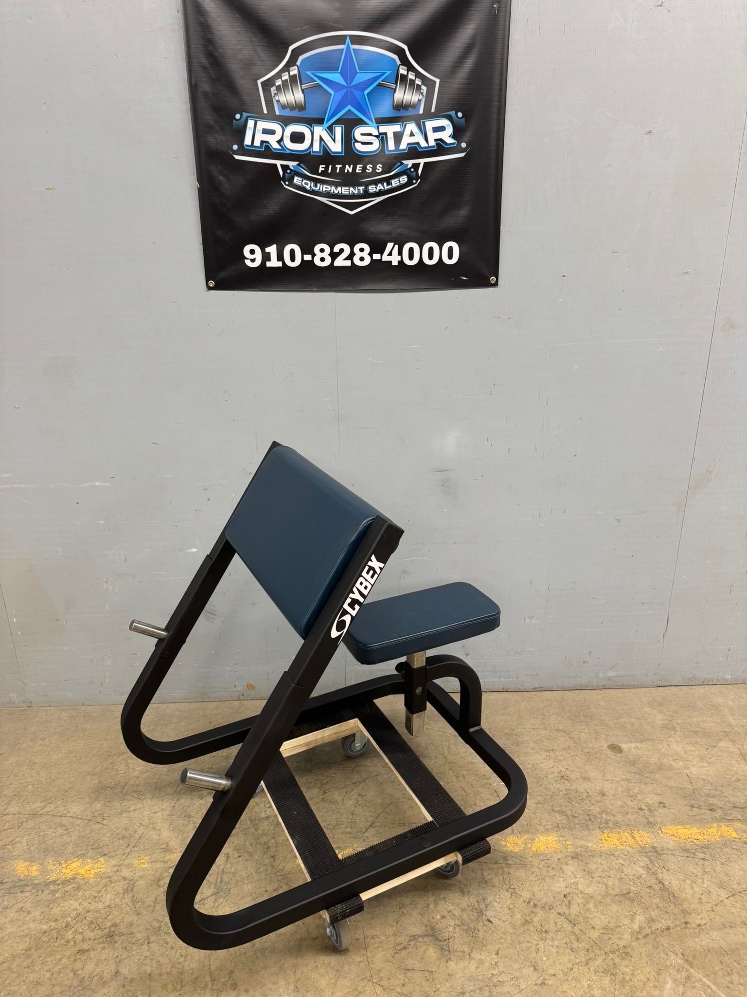 OG Cybex Preacher Curl