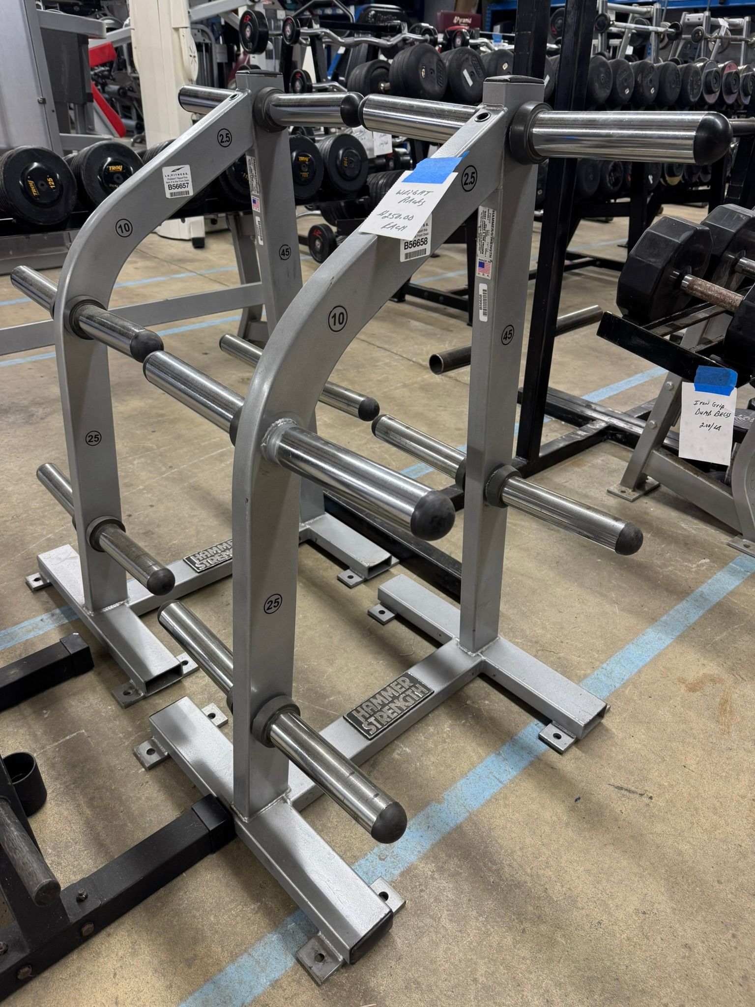 Hammer Strength Weight Tree