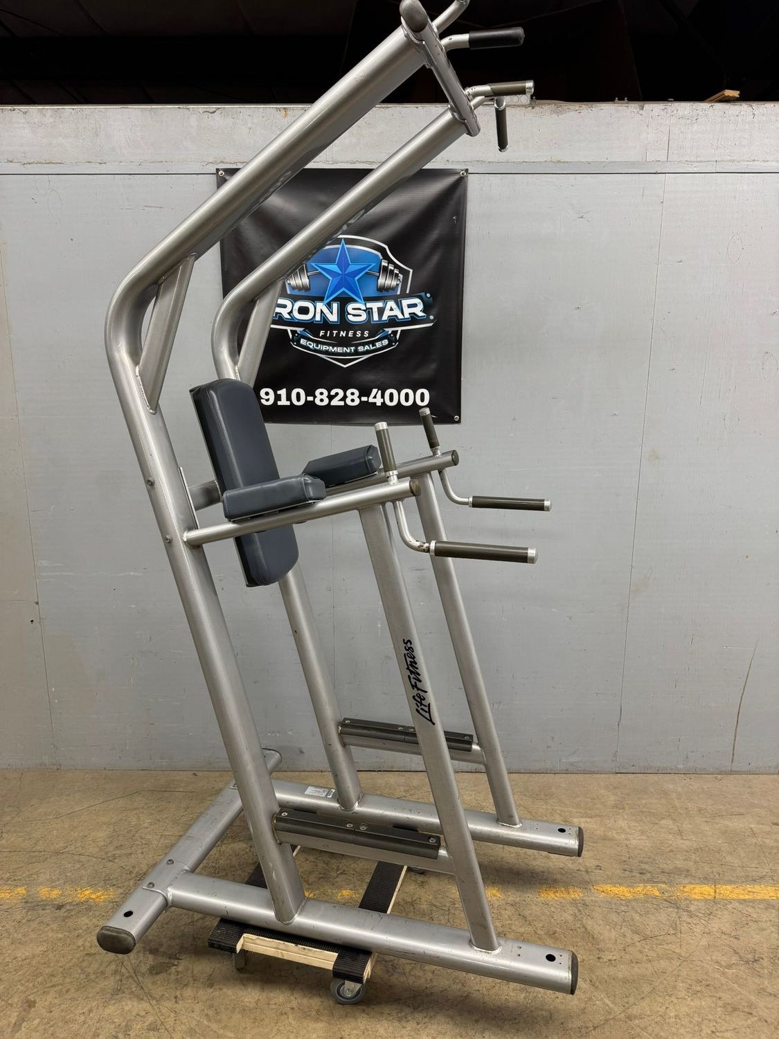 Life Fitness Signature Chin Dip Station