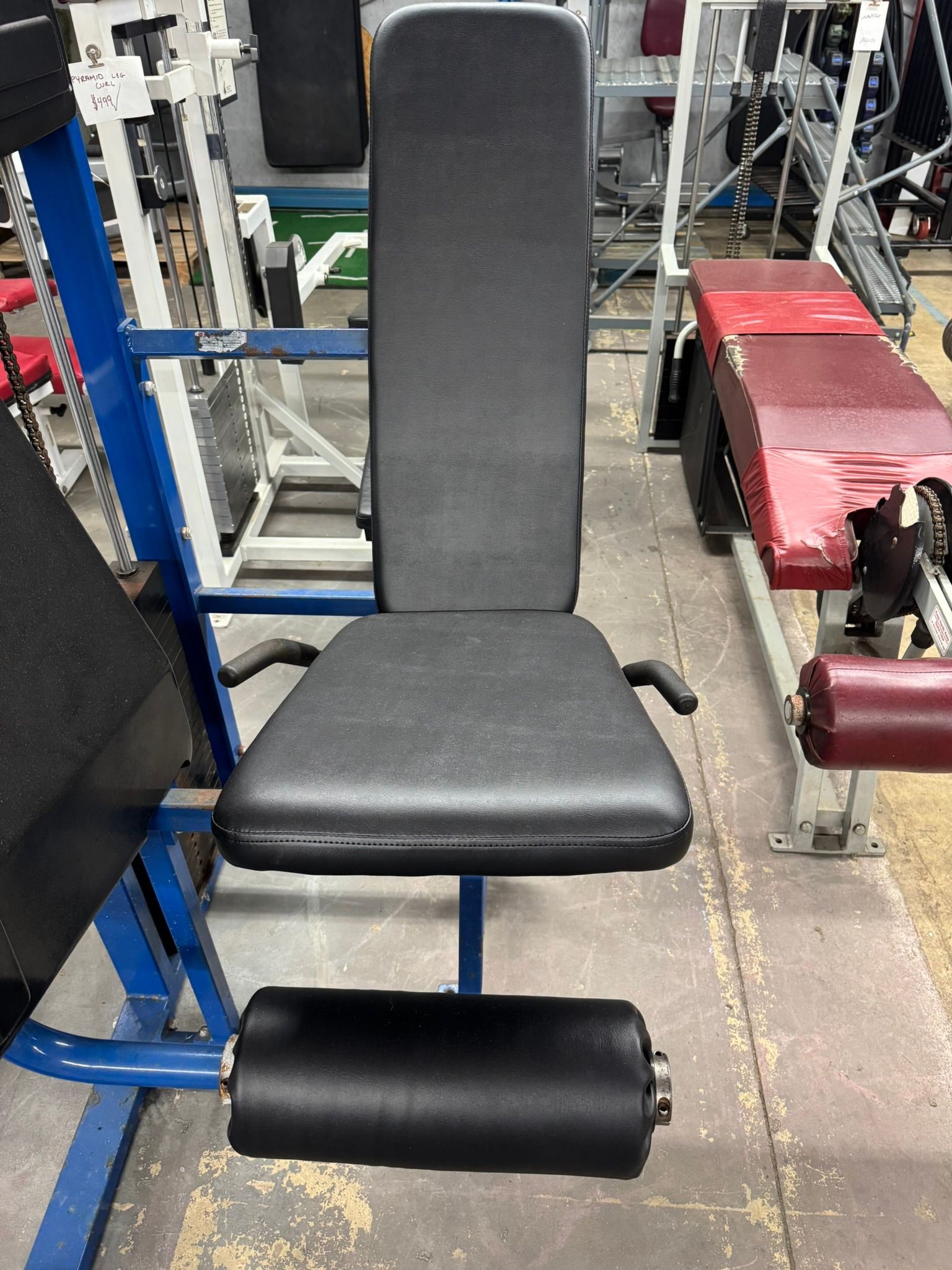Nautilus Chain Driven Leg Extension