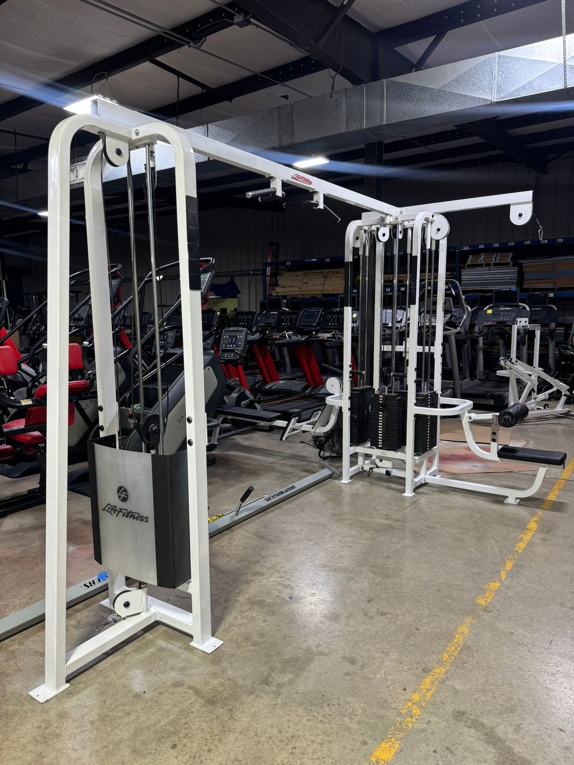 Life Fitness Pro 1 Five Stack Jungle Gym