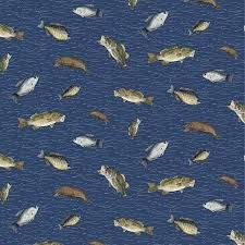 Wake at the lake-fish toss navy