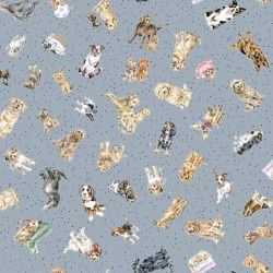 Whiskers &amp; Paws - MAS10417-B