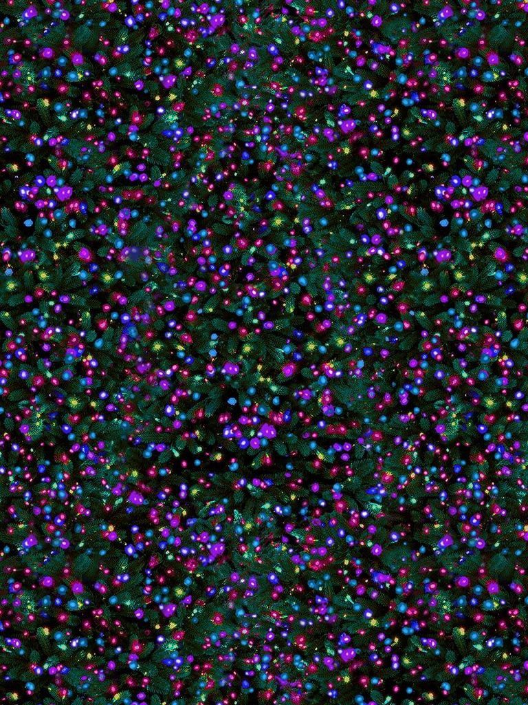 Winter Solstice Aurora Borealis - Xmas