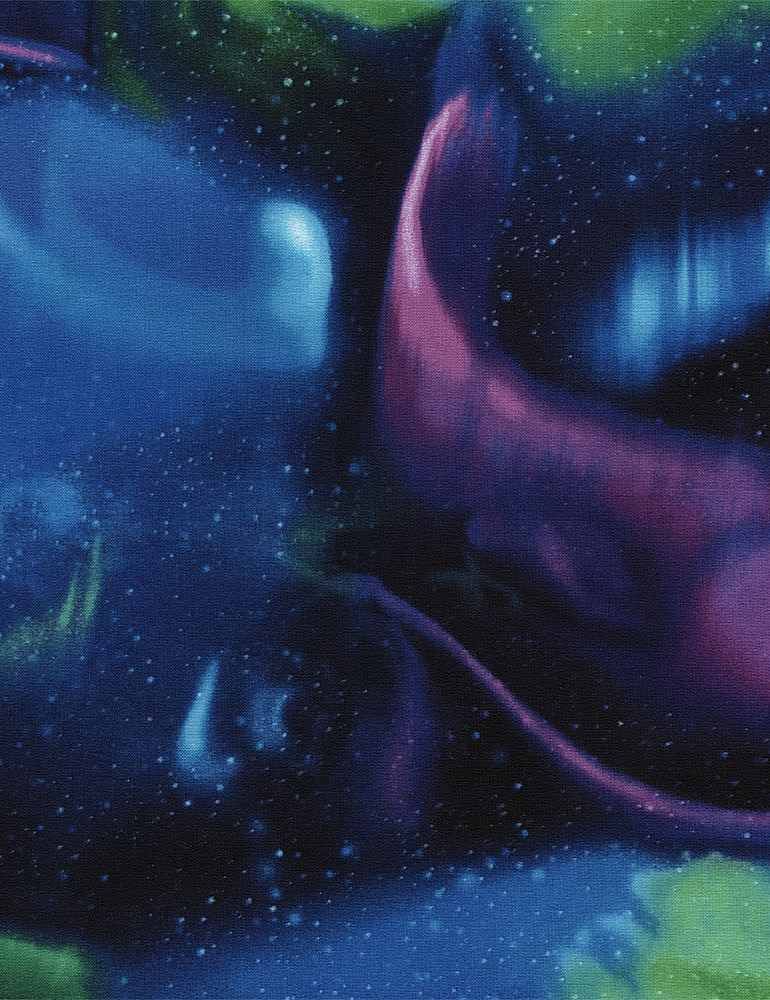 Winter Light- Norther Lights