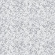 Strokes of the Wild-Frost - White