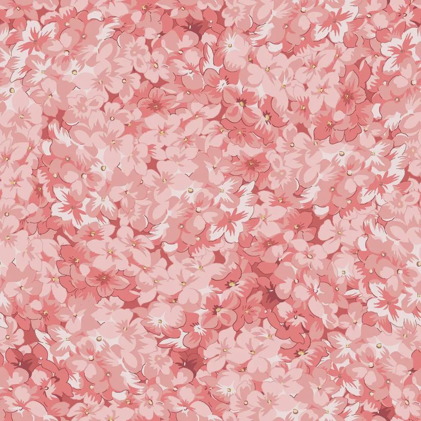 Regal Rose Packed - Pink