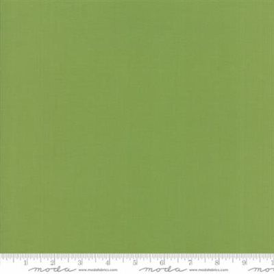 Bella Solids - Fern