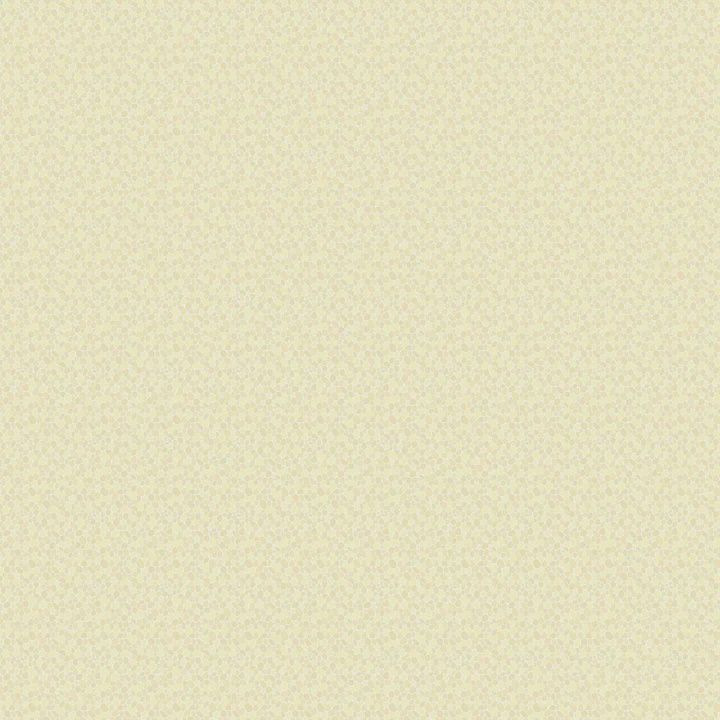 Thousand Steps Pebbles - Sand Shell