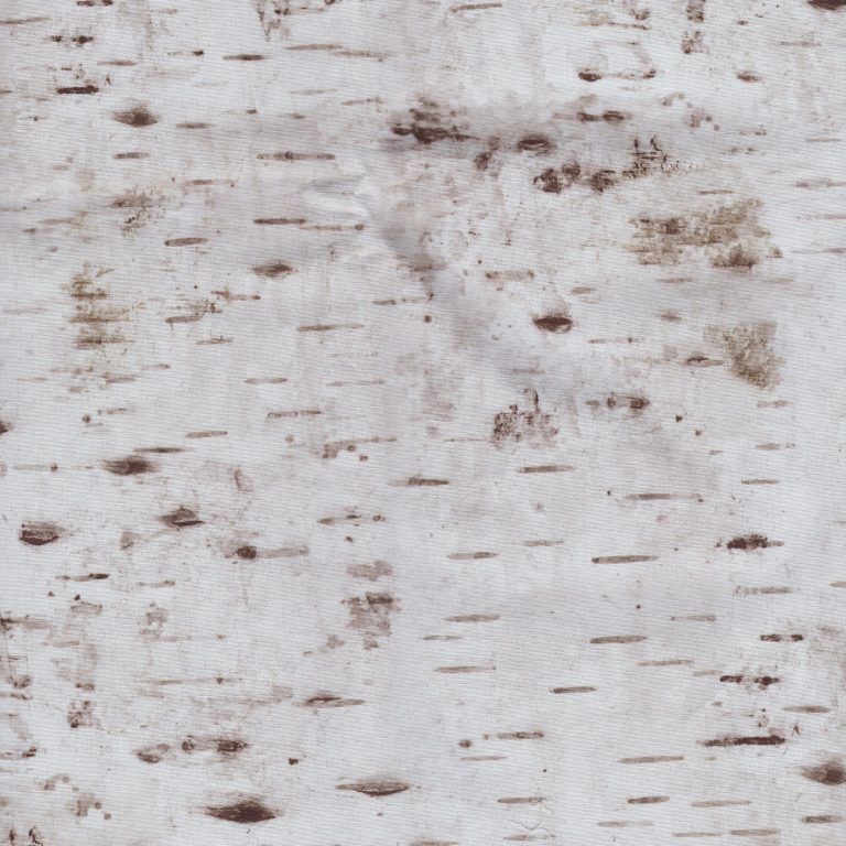 Birch - Natural
