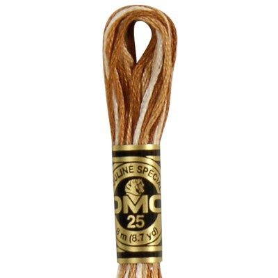 Embroidery Floss -  verigated brown-105