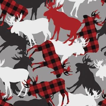 North of ordinary-Canadian moose-multi