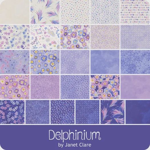 Delphinium - Jelly Roll