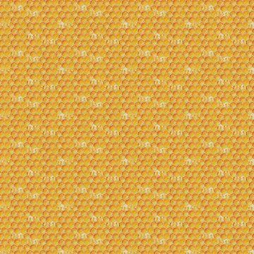 Sweet As Can Bee- Honey Hives 120-25693