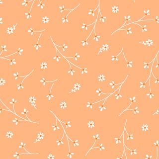 Kimberbell Basics Pretty Petals - Soft Orange