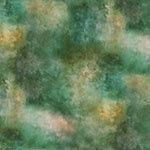 Wings over wildflowers - cypress