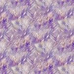 Wings over wildflowers - purple haze