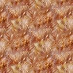 Wings over  wildflowers - rust