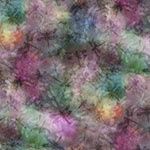 Wings over wildflowers- dragonfly