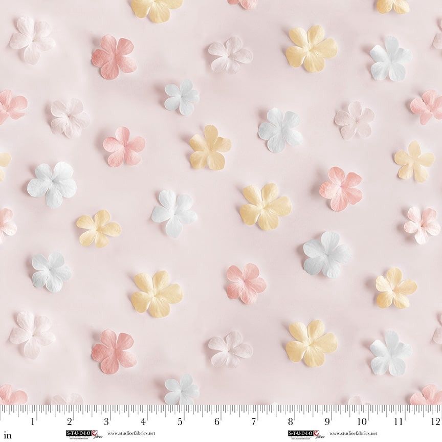 Another Dimensions 8683-12