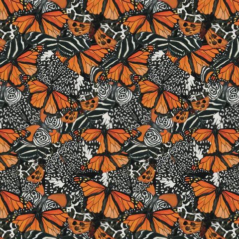 Monarch Gardens - monarch illusions - orange