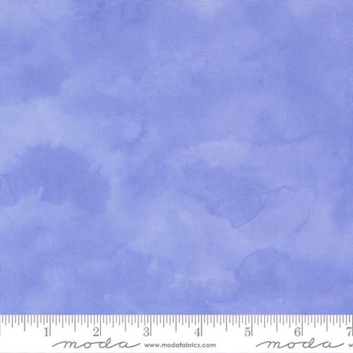 Delphinium - Bluebell